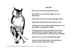 Fehlerlesen-Uhu-1-2-Lesetext-1.pdf